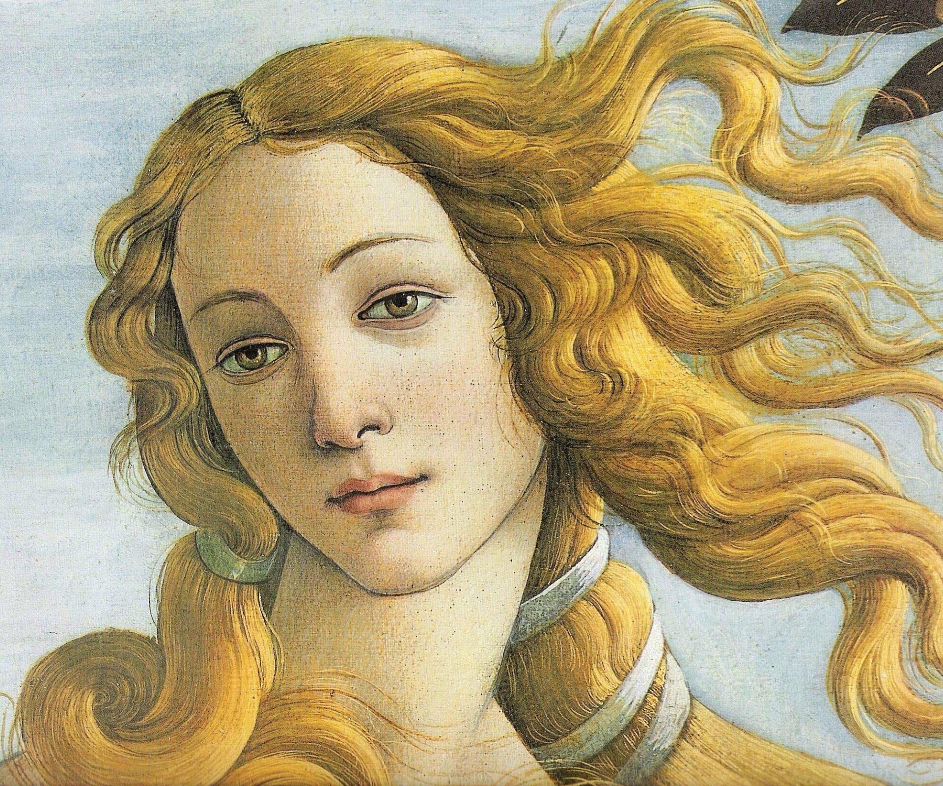 Venus Bella Donna Venus Bella Donna